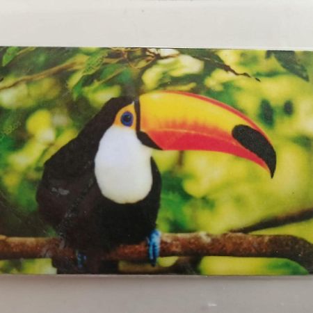 Tucan Playa del Carmen Buitenkant foto