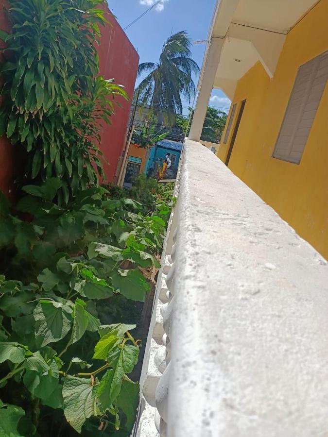 Tucan Playa del Carmen Buitenkant foto