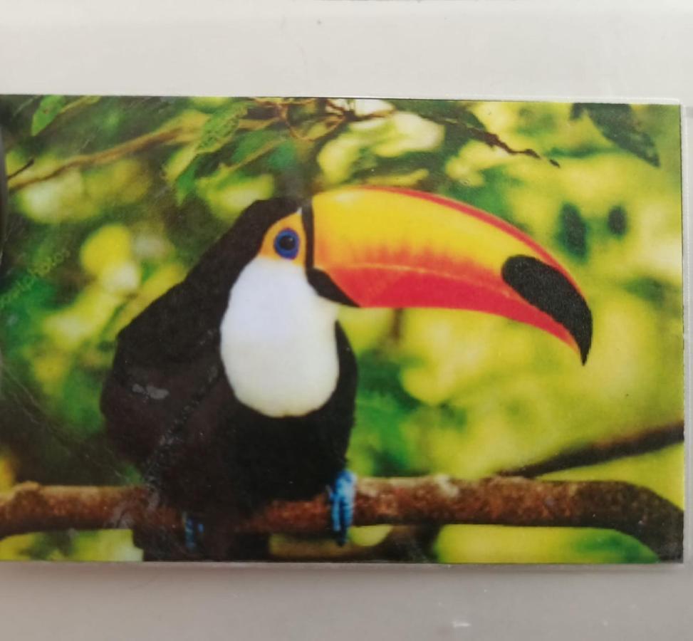 Tucan Playa del Carmen Buitenkant foto